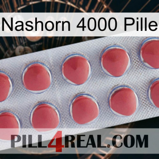 Rhino 4000 Pill 18